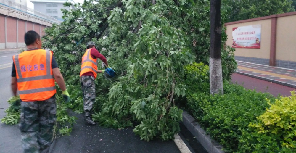 雷电 雷电
