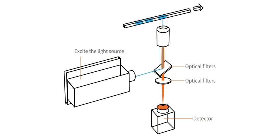数字PCR光路图 数字PCR光路图