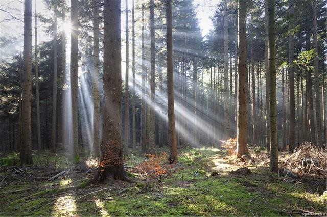 什么是负折射率?何为负折射率? 什么是负折射率?何为负折射率?