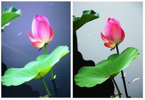 滤光片 摄影知识普及如何用好滤光镜