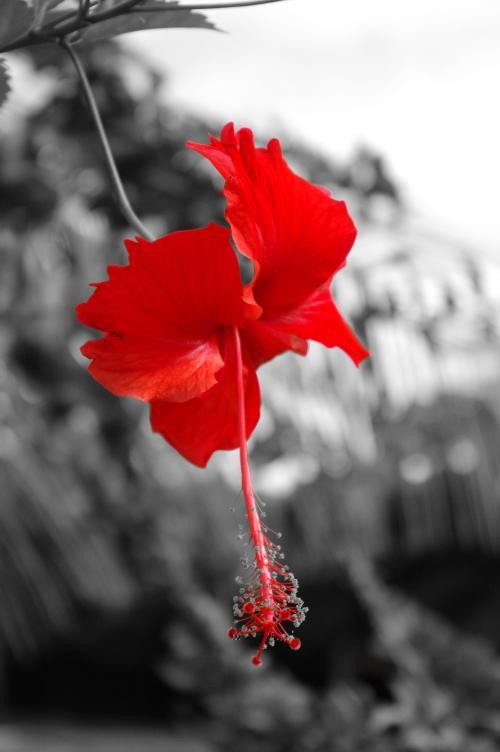 享受数码的乐趣宾得K-7数码滤光镜实拍(2)