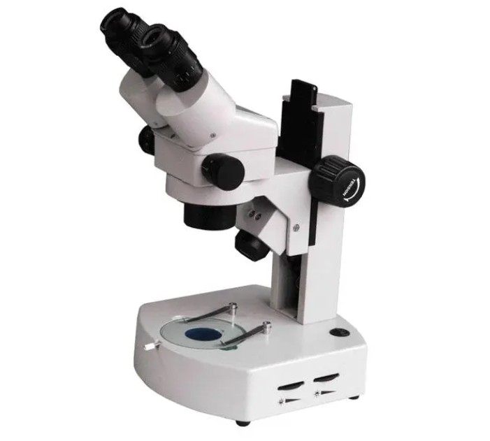 体视显微镜