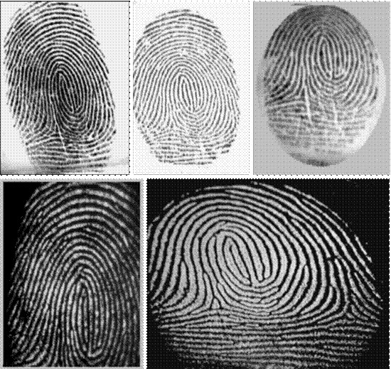 最早的指纹识别在中国--指纹识别发展史