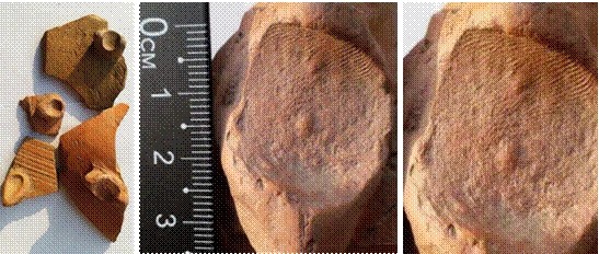 仰韶指纹 仰韶指纹