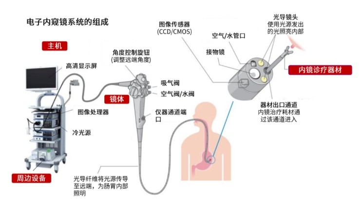 电子内窥镜系统的组成 电子内窥镜系统的组成