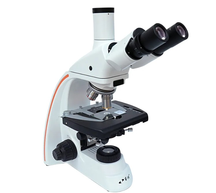 偏光显微镜的工作原理