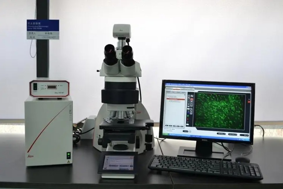 滤光片 荧光显微镜的原理与应用