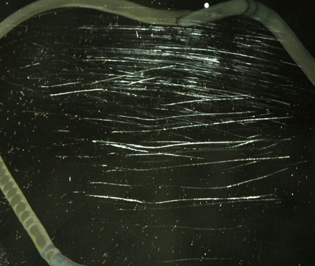 如何去掉透明有机玻璃制品的细小划痕？