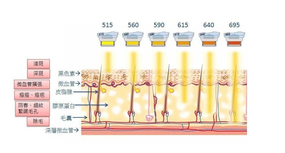 滤光片 不同波段对皮肤的作用