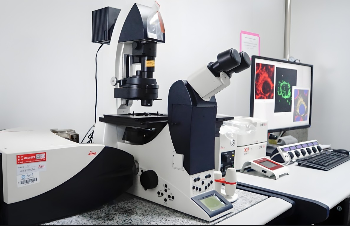 激光共聚焦显微镜