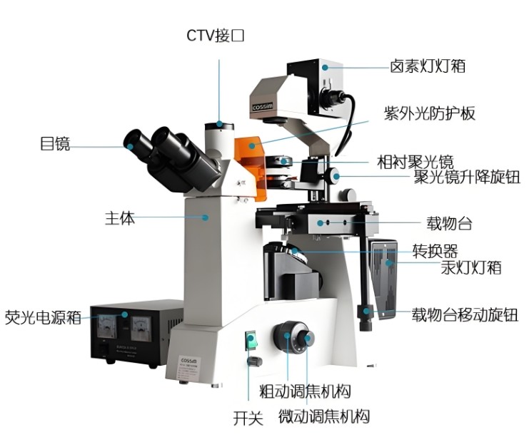倒置荧光显微镜组成