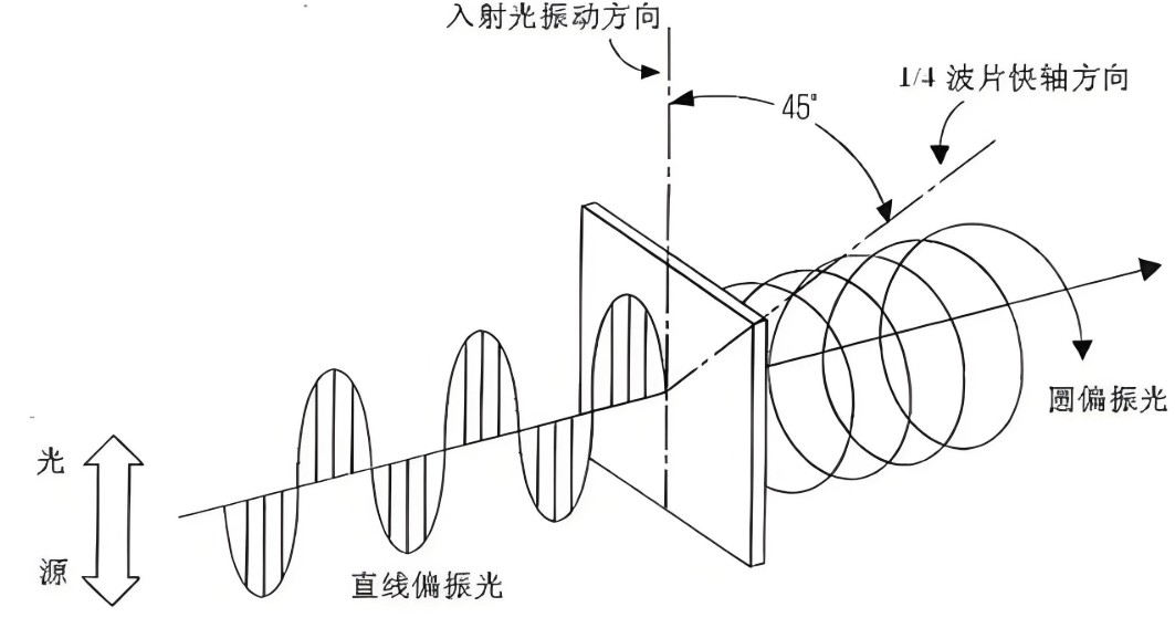 滤光片 光的偏振