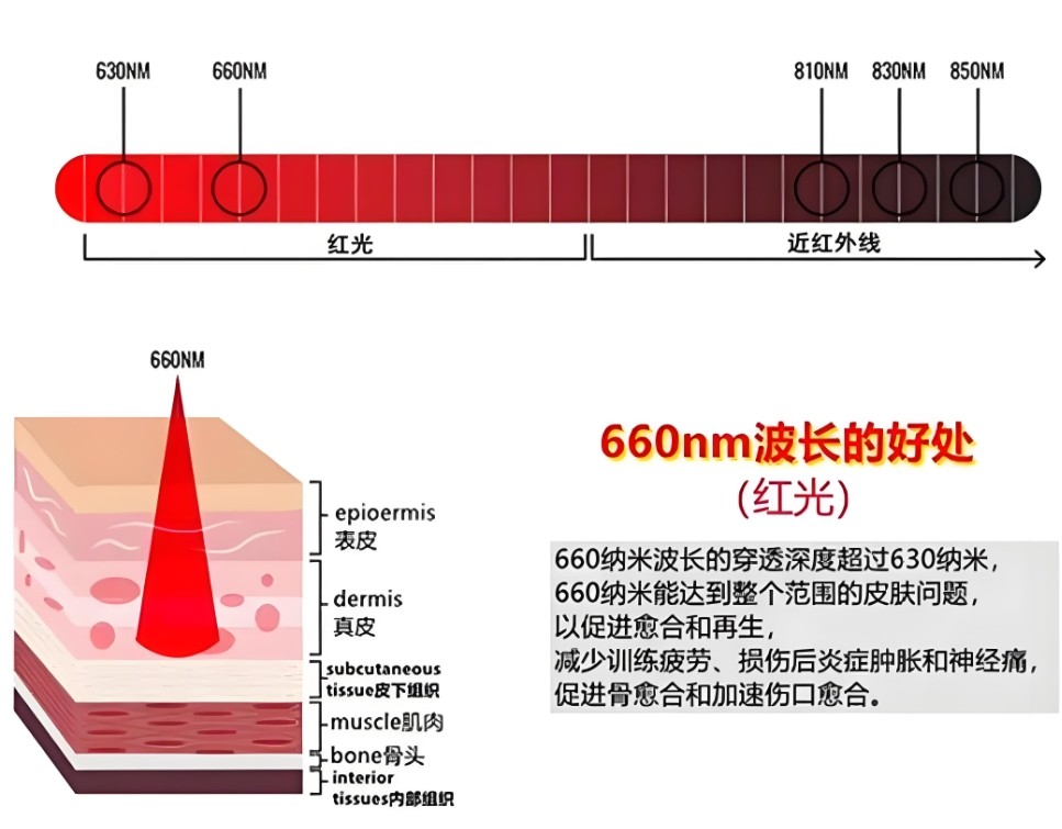 660nm对人体皮肤的作用