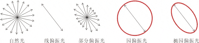 什么是偏振光?偏振光是如何完成检测的? 什么是偏振光?偏振光是如何完成检测的?
