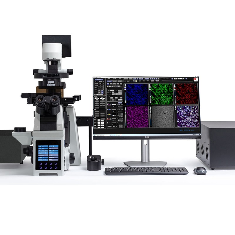 激光扫描共聚焦显微镜 激光扫描共聚焦显微镜