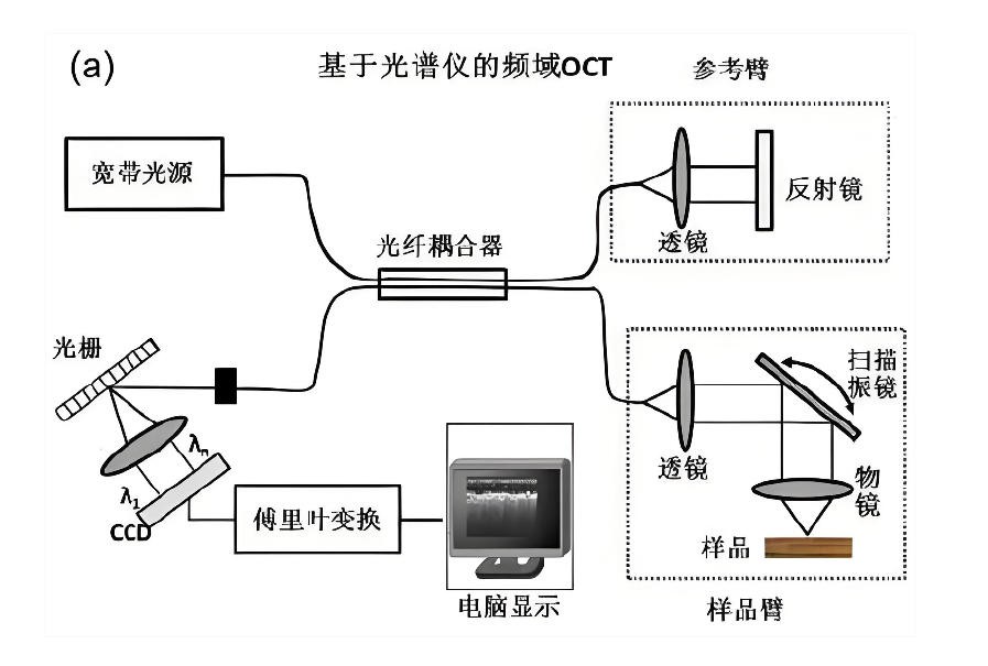 OCT的基本工作原理图
