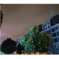 偏色问题和白平衡的设置