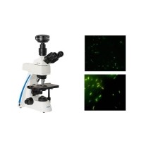 荧光检测滤光片的原理及作用