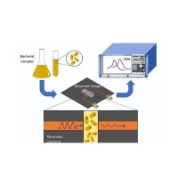 生物样本光学传感器中有色玻璃的应用